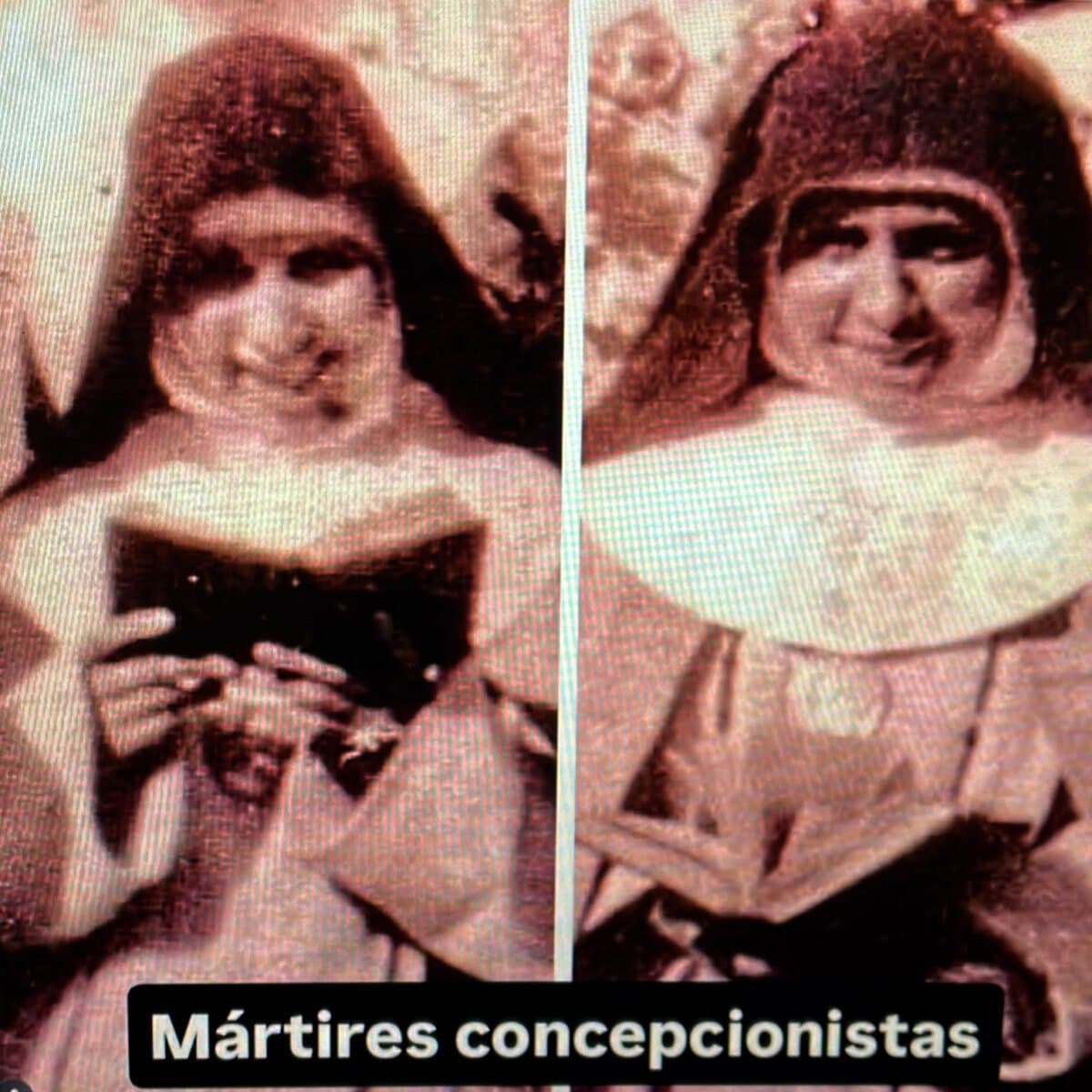 Mártires Concepcionistas